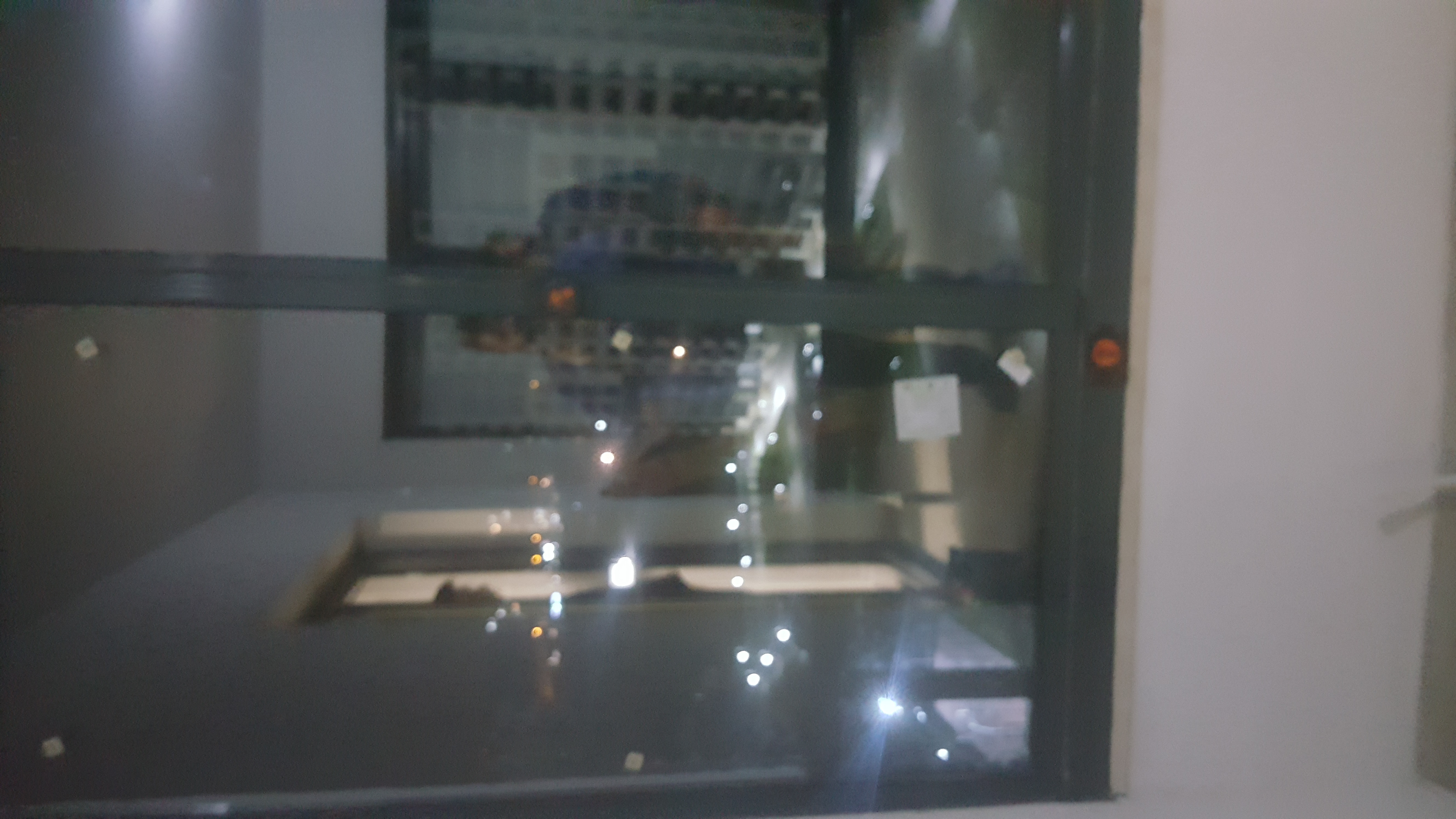 Foto Galeri